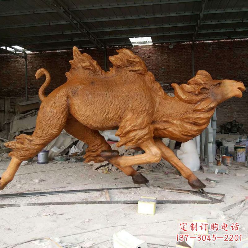 石家庄活力四射的骆驼