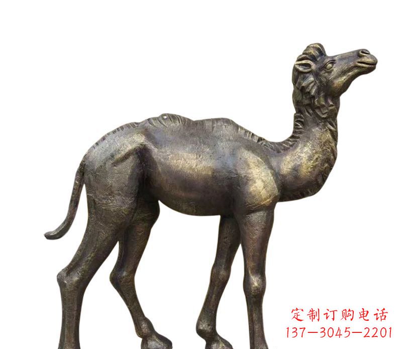石家庄奇美洁净的骆驼铜雕