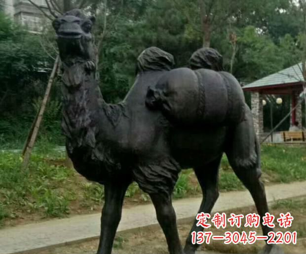 石家庄驮行李的骆驼铜雕