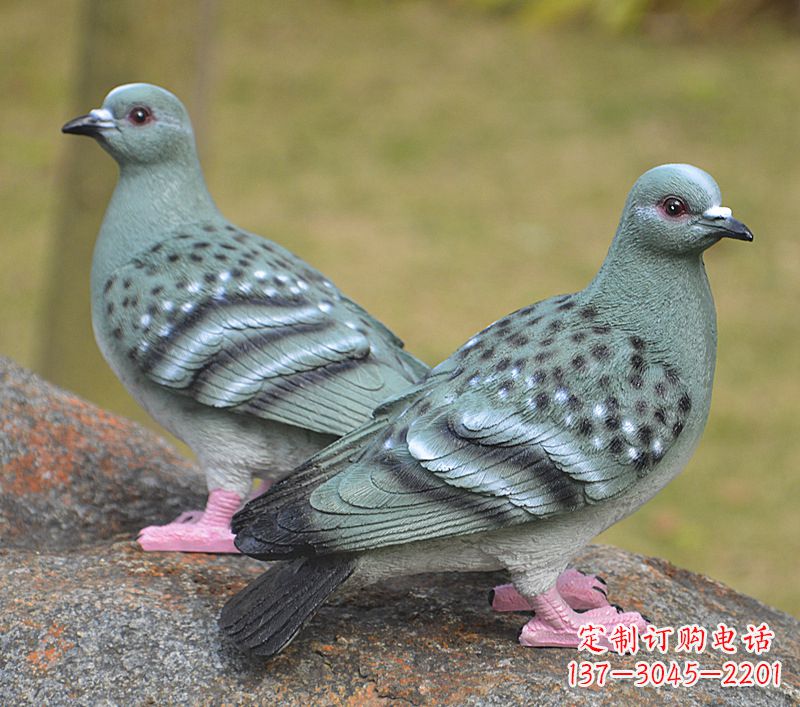 石家庄校园雕塑和平鸽图片